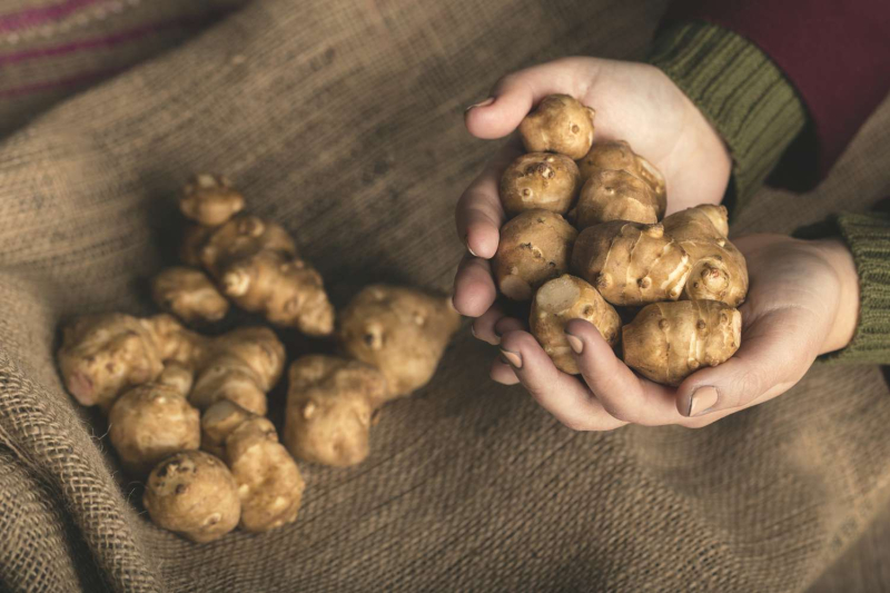 What Are Jerusalem Artichokes?